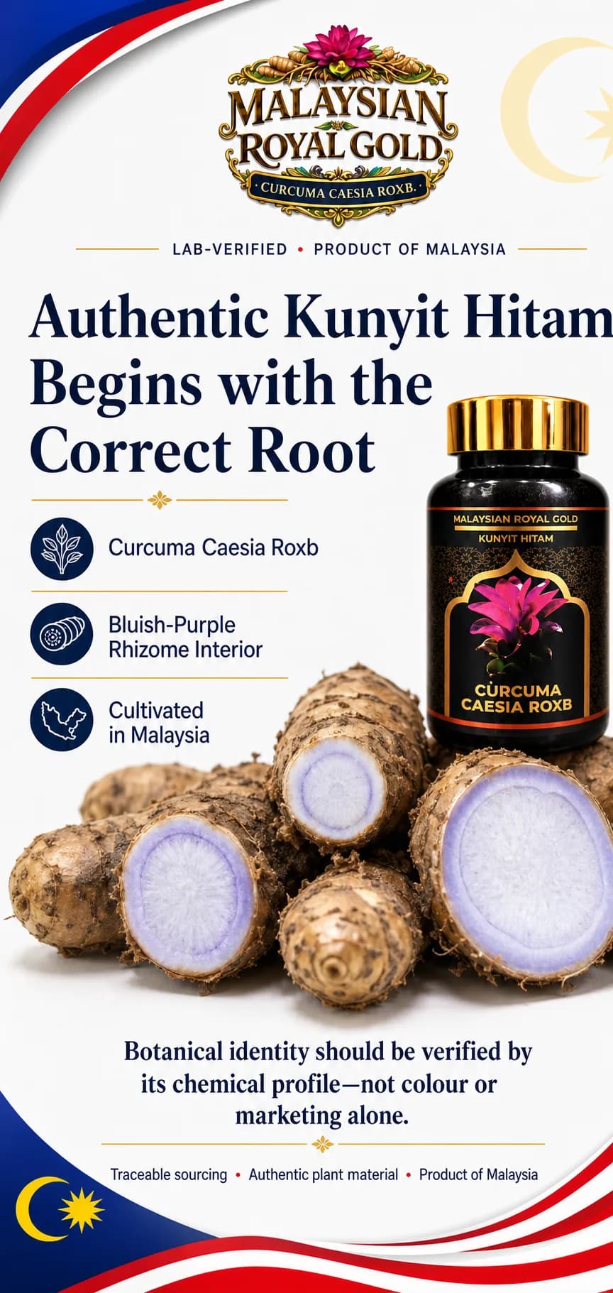 Curcuma Caesia Roxb Capsules: Botanical Authenticity