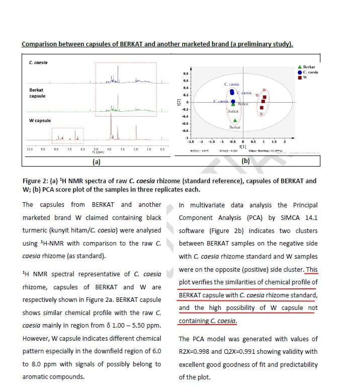 NMR and PCA Comparison